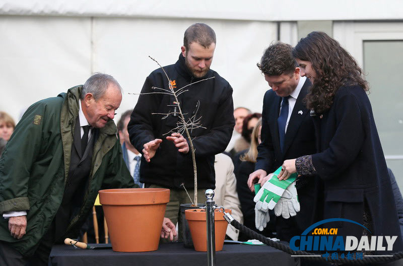 肯尼迪遇刺50周年 孫女為祖父獻(xiàn)花致辭