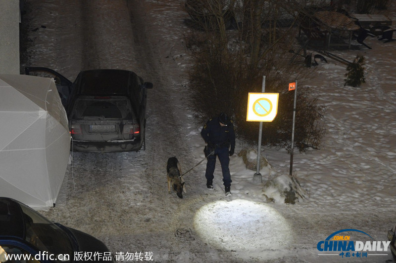 瑞典黑幫頭子家門口被槍殺 曾卷入瑞典國(guó)王性丑聞