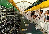 Bierborse(啤酒節(jié))
