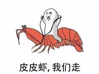 “皮皮蝦我們走！”用英語怎么說？