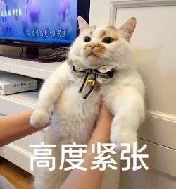 美國人有多愛夸人？居然飆車過來夸我鞋子美？？？