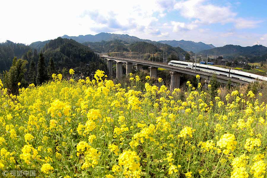 踏青季：春天盛開的9種鮮花 哪一種最美？（組圖）