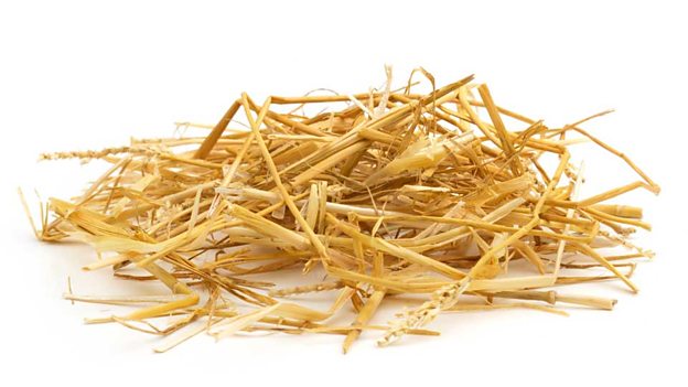 The last/final straw 忍無可忍，使人最終崩潰的一擊