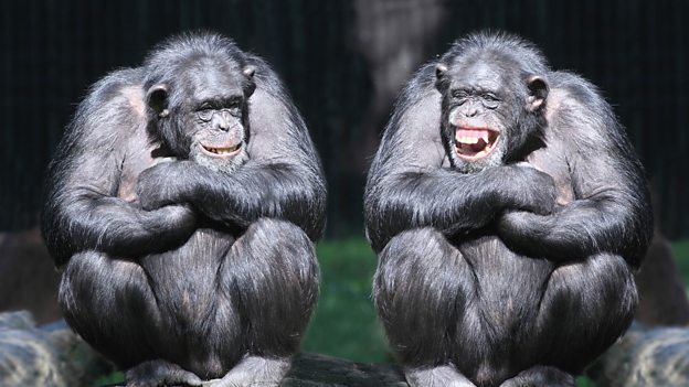 Why do we laugh? 為什么我們會(huì)笑？