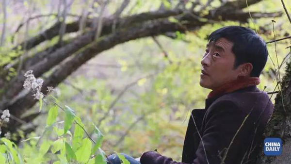 小康之路：他們曾經(jīng)是伐木人，如今卻成了護林員和藏香廠老板丨解碼中國