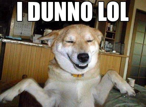 “LOL理論”是什么鬼？