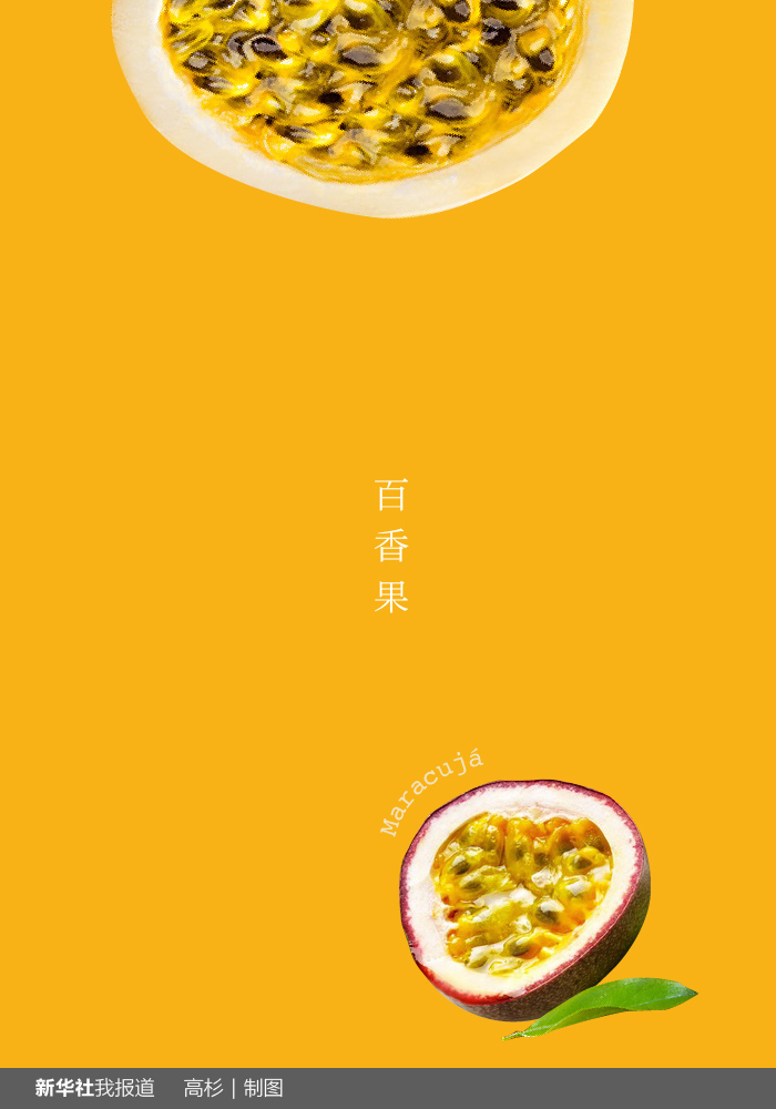 “瘋狂水果城”里約：給你點顏色瞧瞧！