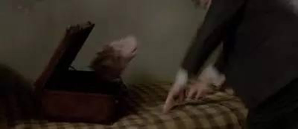 《神奇動物》里都有哪些神奇的動物？