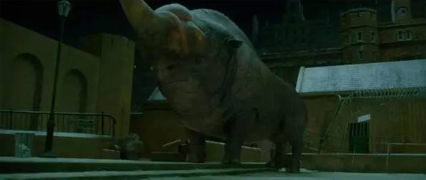 《神奇動物》里都有哪些神奇的動物？