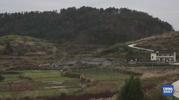 那一口下去滿嘴生津、齒頰留香的美味，承載著他怎樣的回憶和憧憬丨解碼中國(guó)