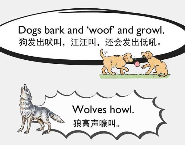 自然界中有各種聲音 如何用英語來描述動物的叫聲？