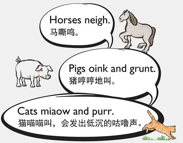 自然界中有各種聲音 如何用英語來描述動物的叫聲？