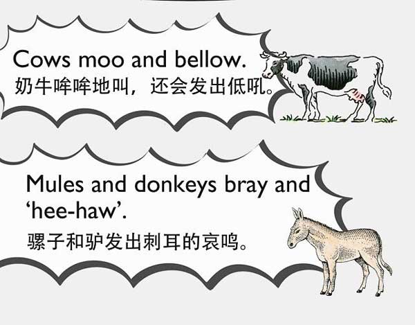自然界中有各種聲音 如何用英語來描述動物的叫聲？