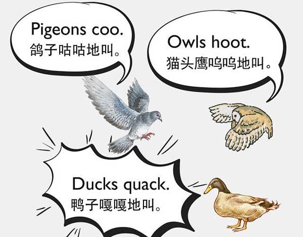 自然界中有各種聲音 如何用英語來描述動物的叫聲？