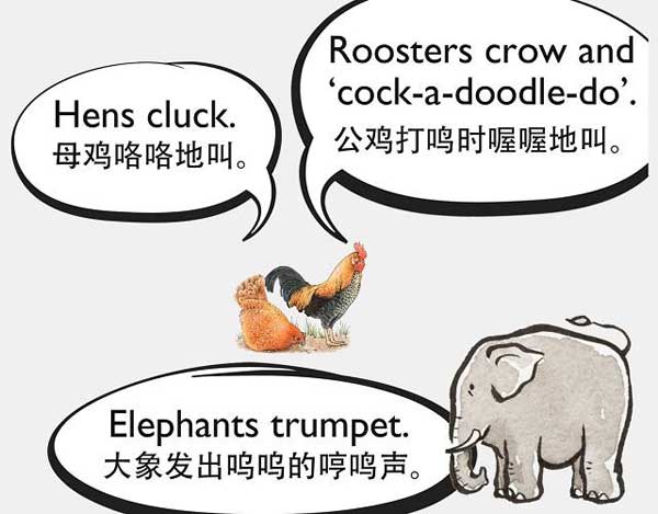 自然界中有各種聲音 如何用英語來描述動物的叫聲？