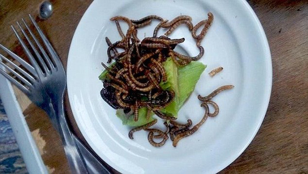 受不了臭豆腐、血腸 老外卻有更奇葩的美食