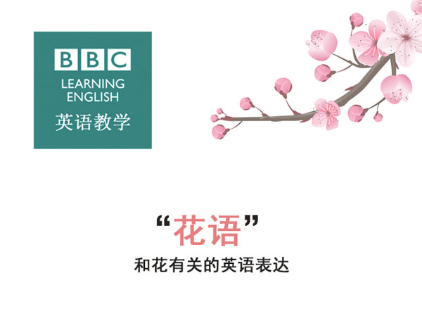 “花語”：和花有關(guān)的英語表達(dá)