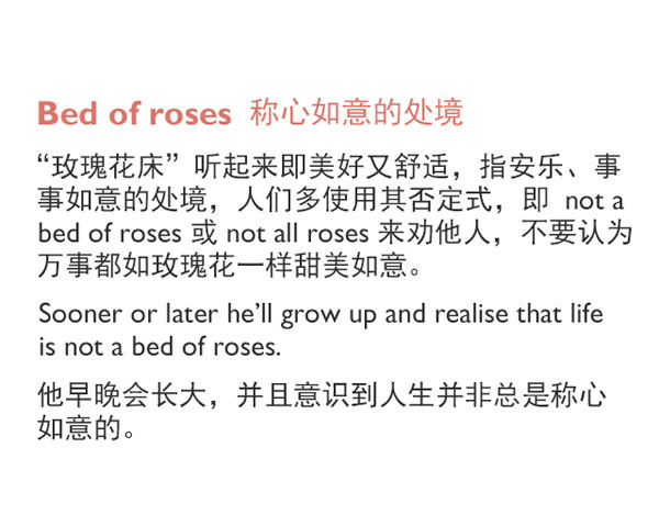 “花語”：和花有關(guān)的英語表達(dá)