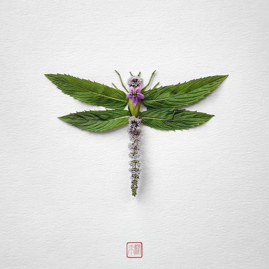 你怕蟲子嗎？來看看這些用花瓣做成的蟲子（組圖）