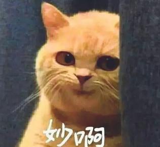 揭秘各國兵哥哥的野戰(zhàn)口糧！看到韓國的，忍不住笑出了聲…