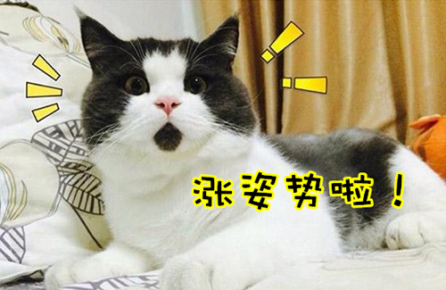 萬(wàn)萬(wàn)沒(méi)想到！七個(gè)讓你驚呼“厲害了”的冷知識(shí)