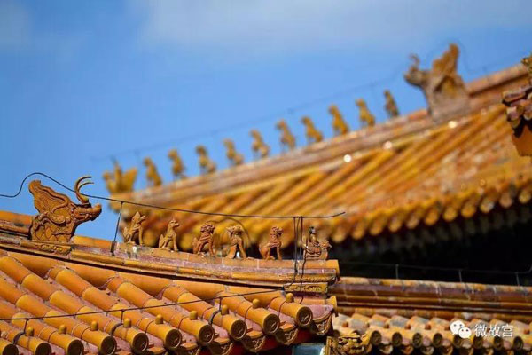 習近平特朗普同游故宮！那些讓特朗普驚嘆的殿、樓、齋，用英文怎么說？
