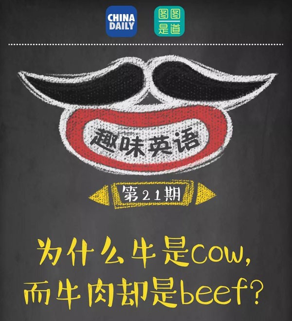 為什么牛是cow，而牛肉卻是beef？