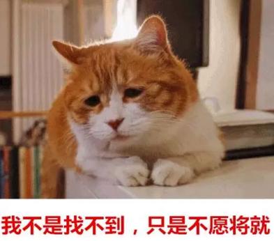 你單身的原因找到了！調查：七成人不愿將就，半數男生看臉