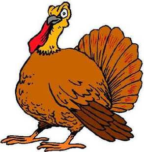 Turkey 感恩節(jié)為什么要吃火雞？