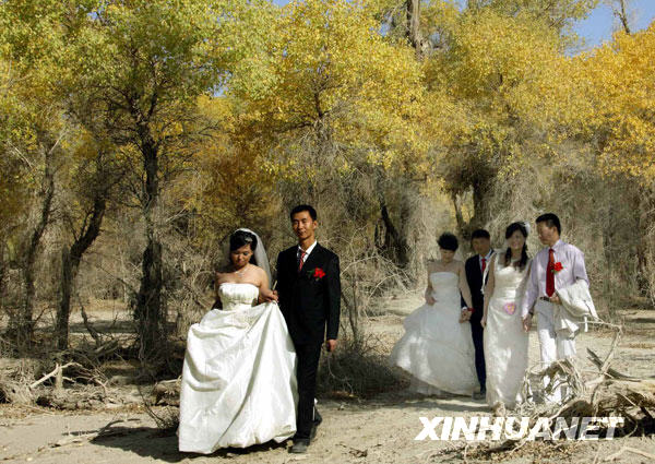 胡楊節(jié)上集體婚禮